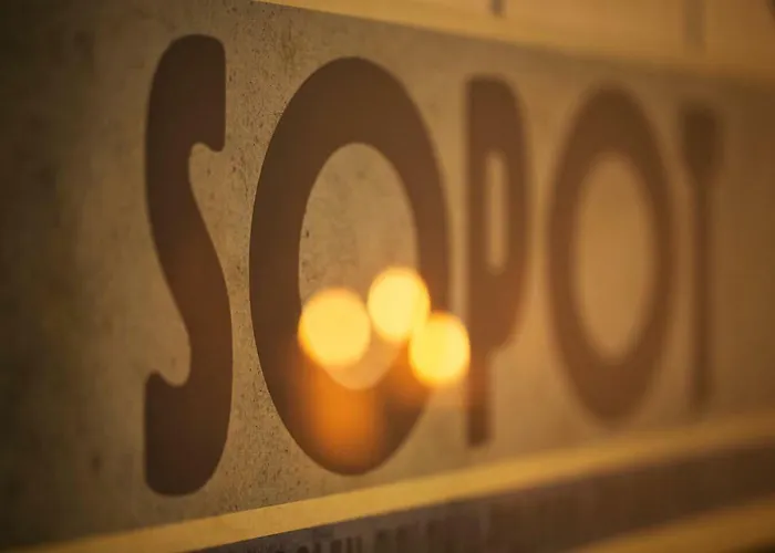 公寓 Monte Cassino 索波特